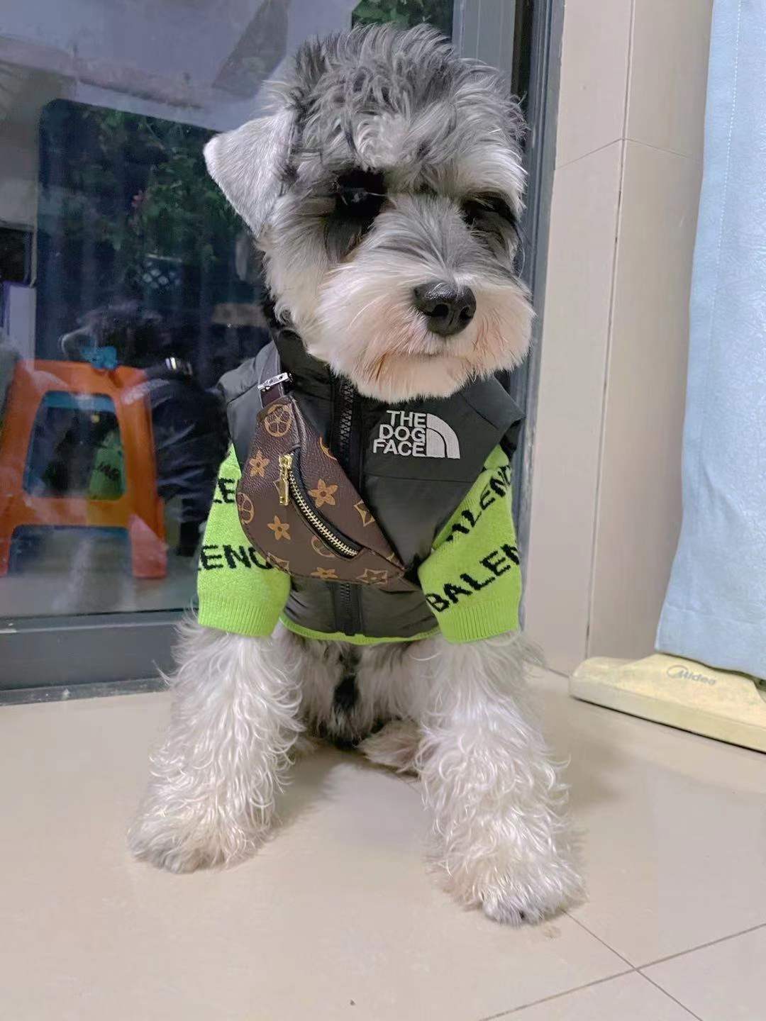 The Dog Face Down Vest
