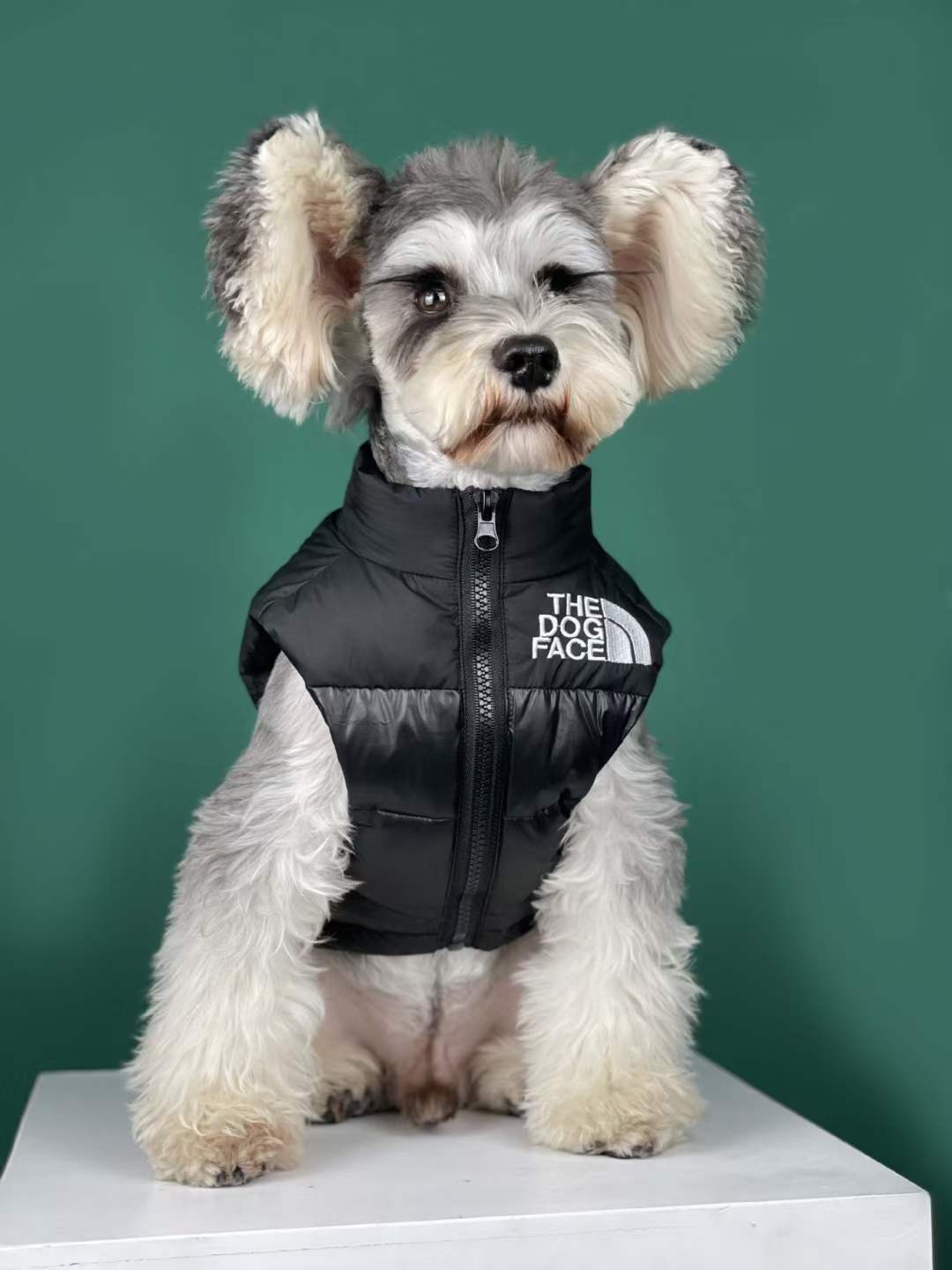 The Dog Face Down Vest