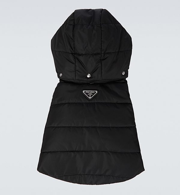 Pawda Winter Padded Coat