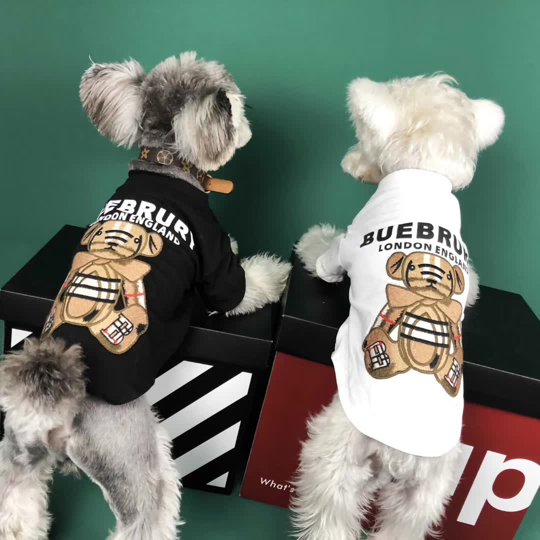 Dog Summer Bear T-Shirt