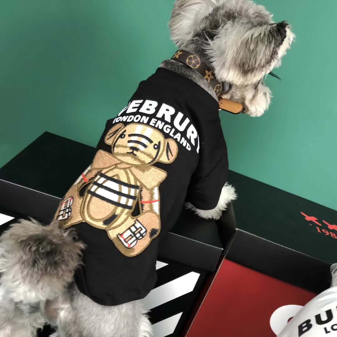 Dog Summer Bear T-Shirt