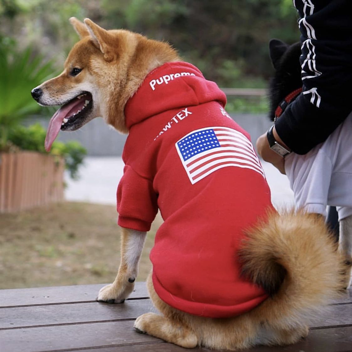 The Dog Face Hoody