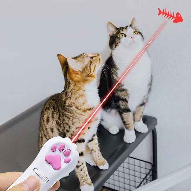 USB Charge Pet Laser Pen Toys