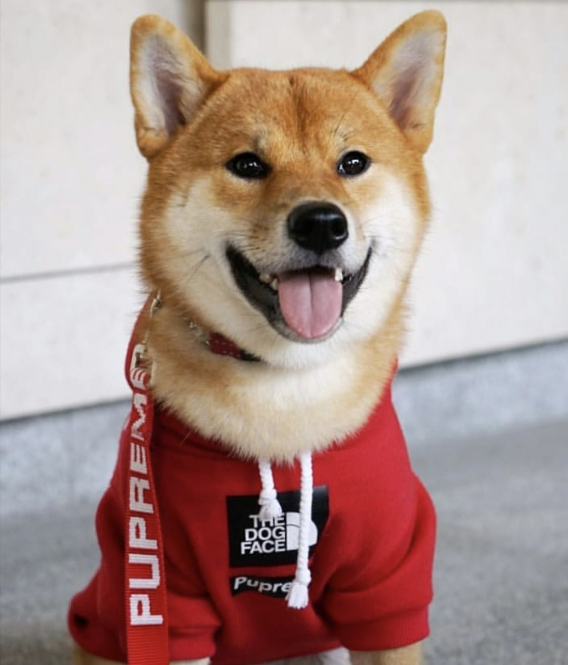 The Dog Face Hoody
