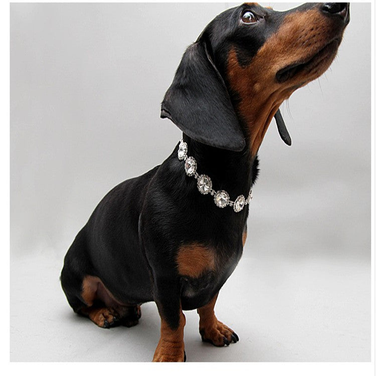 Pet Rhinestone Pearl Necklace