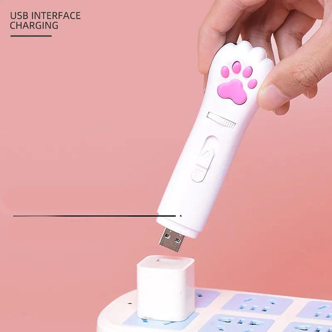 USB Charge Pet Laser Pen Toys