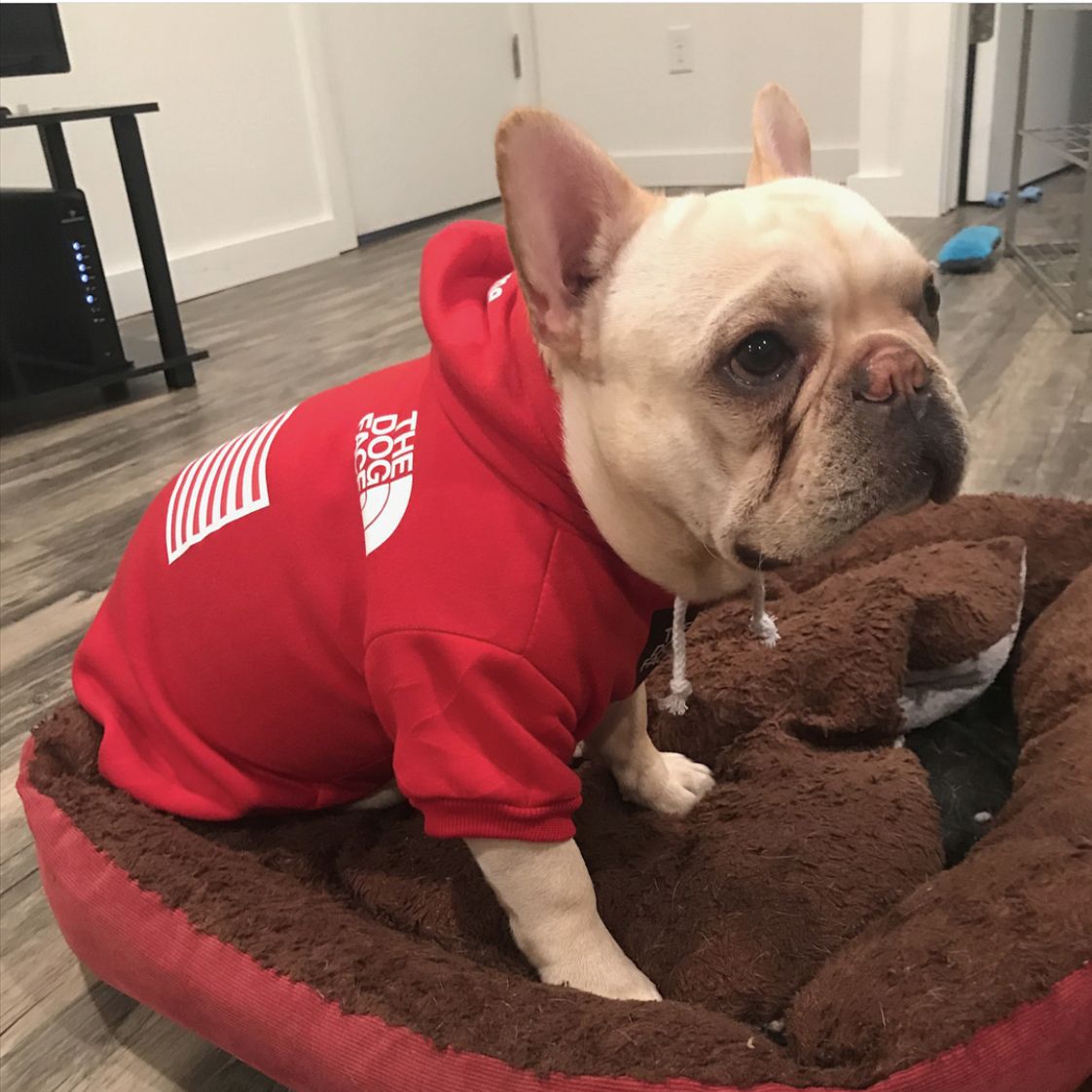 The Dog Face Hoody