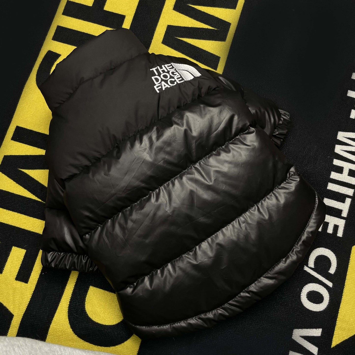 The Dog Face Down Jacket