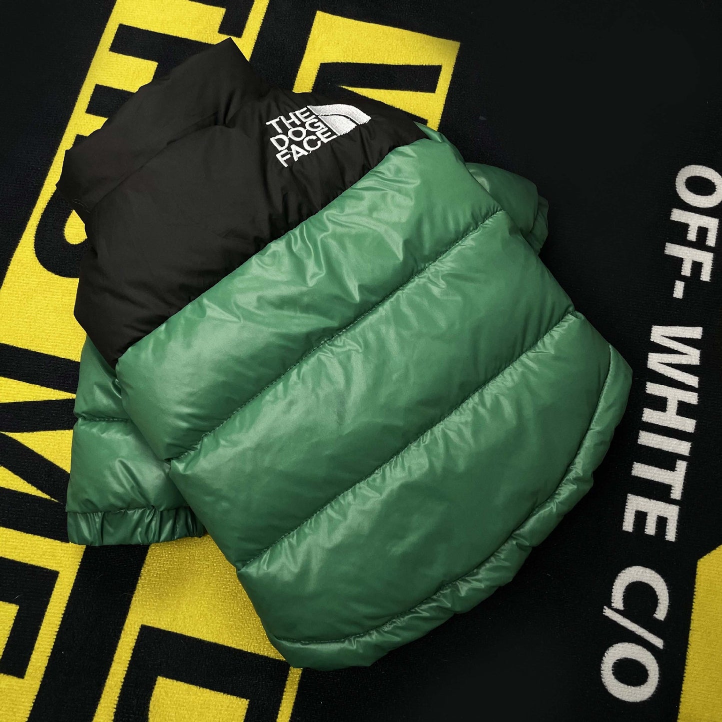 The Dog Face Down Jacket