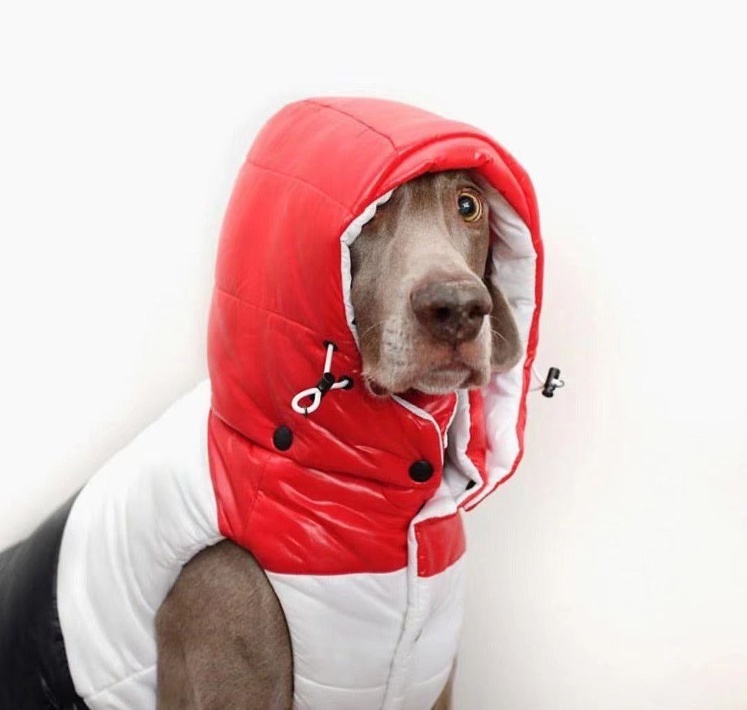 Dog Contrast Panel Down Vest