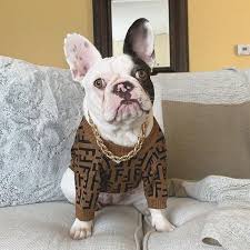 Dog Casual Brown Letter Jumpers
