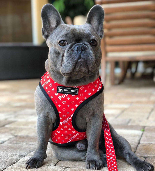 Pupreme Dog Harness Set