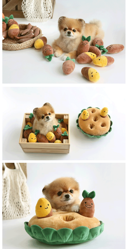 Kingdompet Sweet Potato Set Pet Food Hiding Toy Interactive Dog Toy
