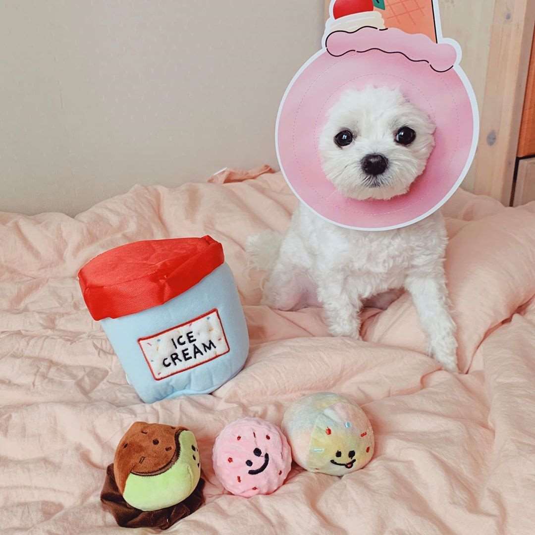 Kingdompet Ice-cream with 3 colorful Balls Hide and Seek Dog Plush Interactive Puppy Toy