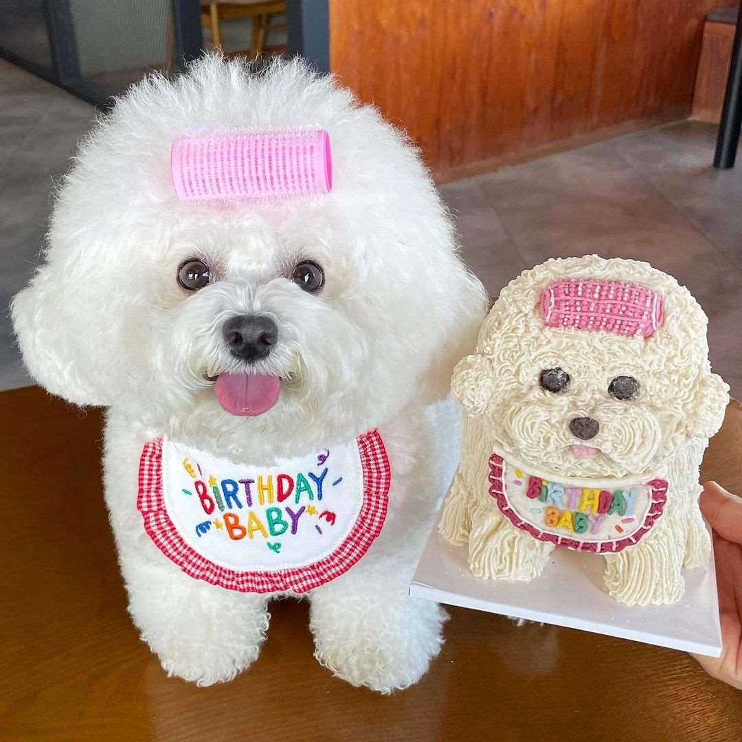 Cute Birthday Pet Bandana