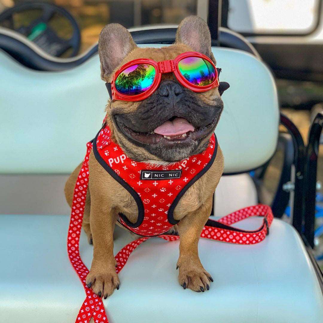 Pupreme Dog Harness Set