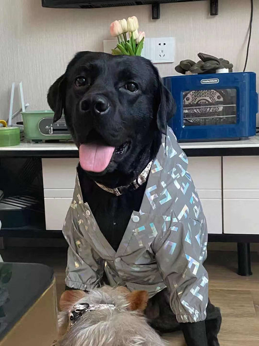 Reflective Designer Raincoat