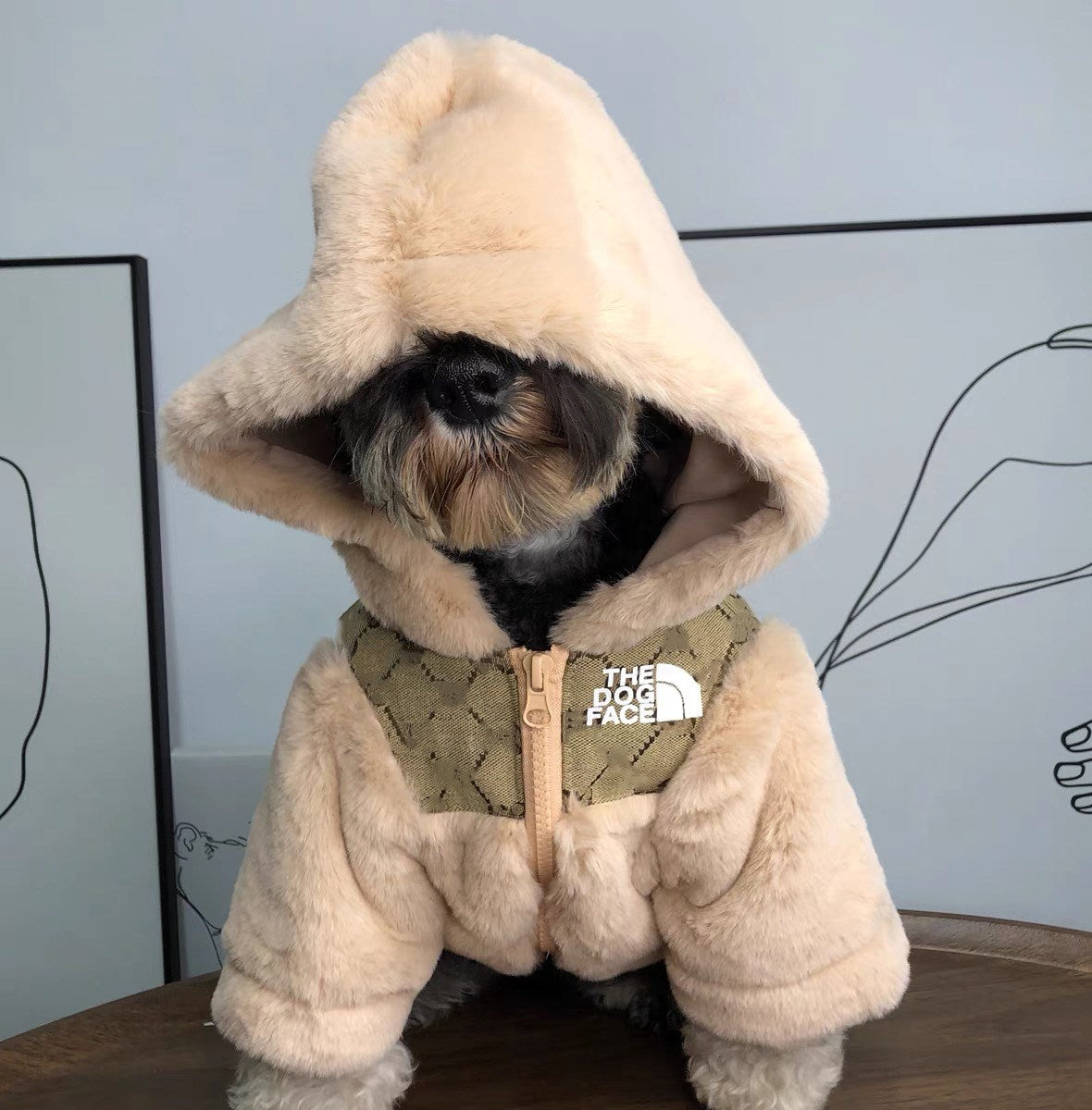 Two-legged fur coat for dogs