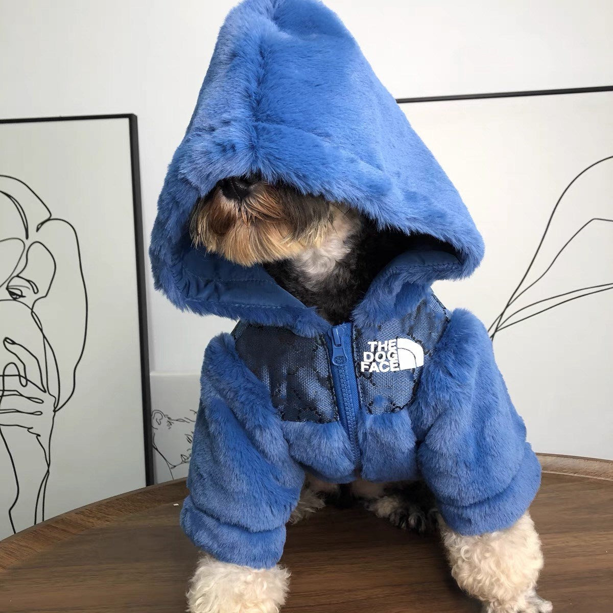 Two-legged fur coat for dogs