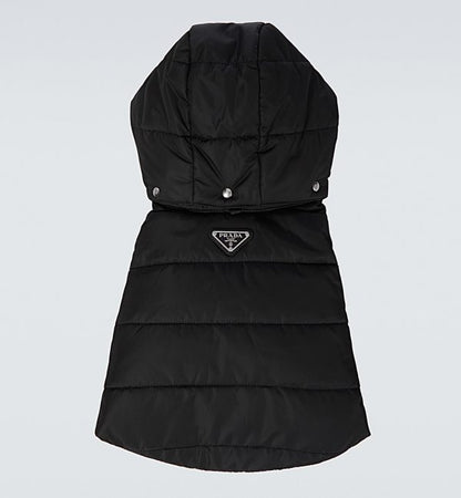 Pawda Winter Padded Coat