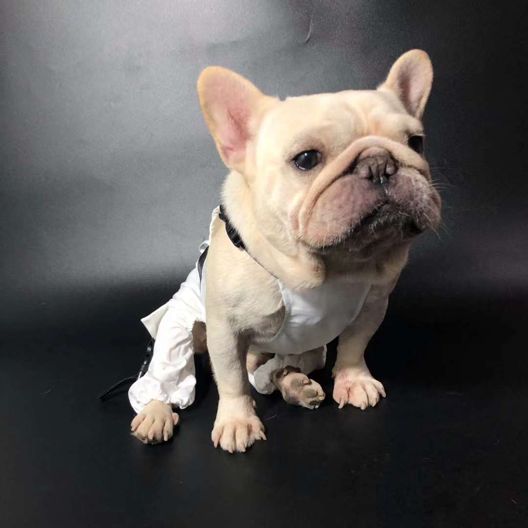 Luxury Dog Overalls