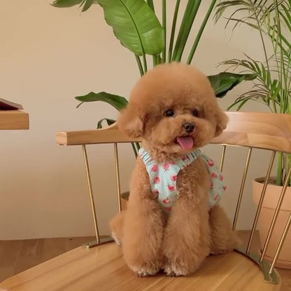 Cute Puppy Summer Dresses