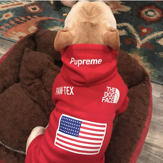 The Dog Face Hoody