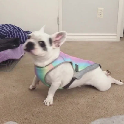 Summer Dog Cooling Vests