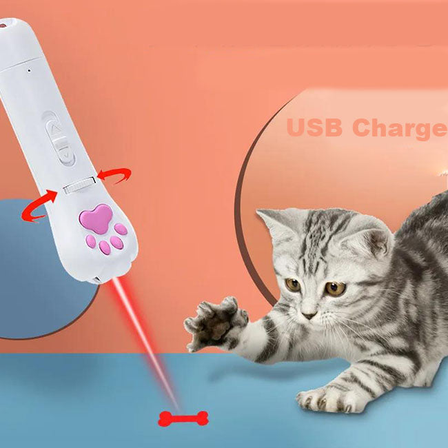 USB Charge Pet Laser Pen Toys