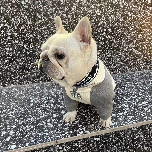 Thin cotton breathable pet fashion brand