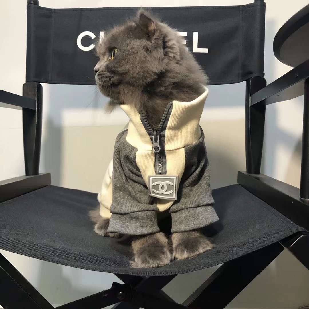 Thin cotton breathable pet fashion brand