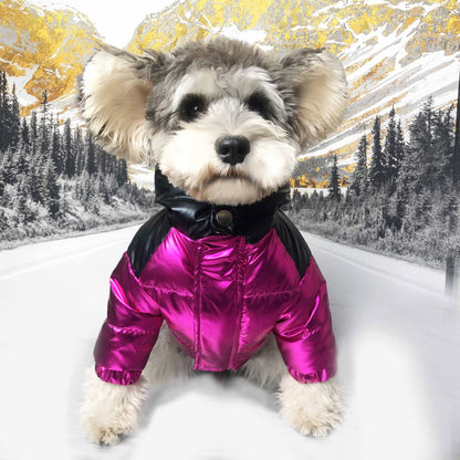Waterproof Designer Winter Thick Dog Jacket