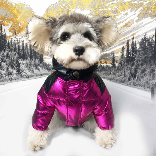 Waterproof Designer Winter Thick Dog Jacket