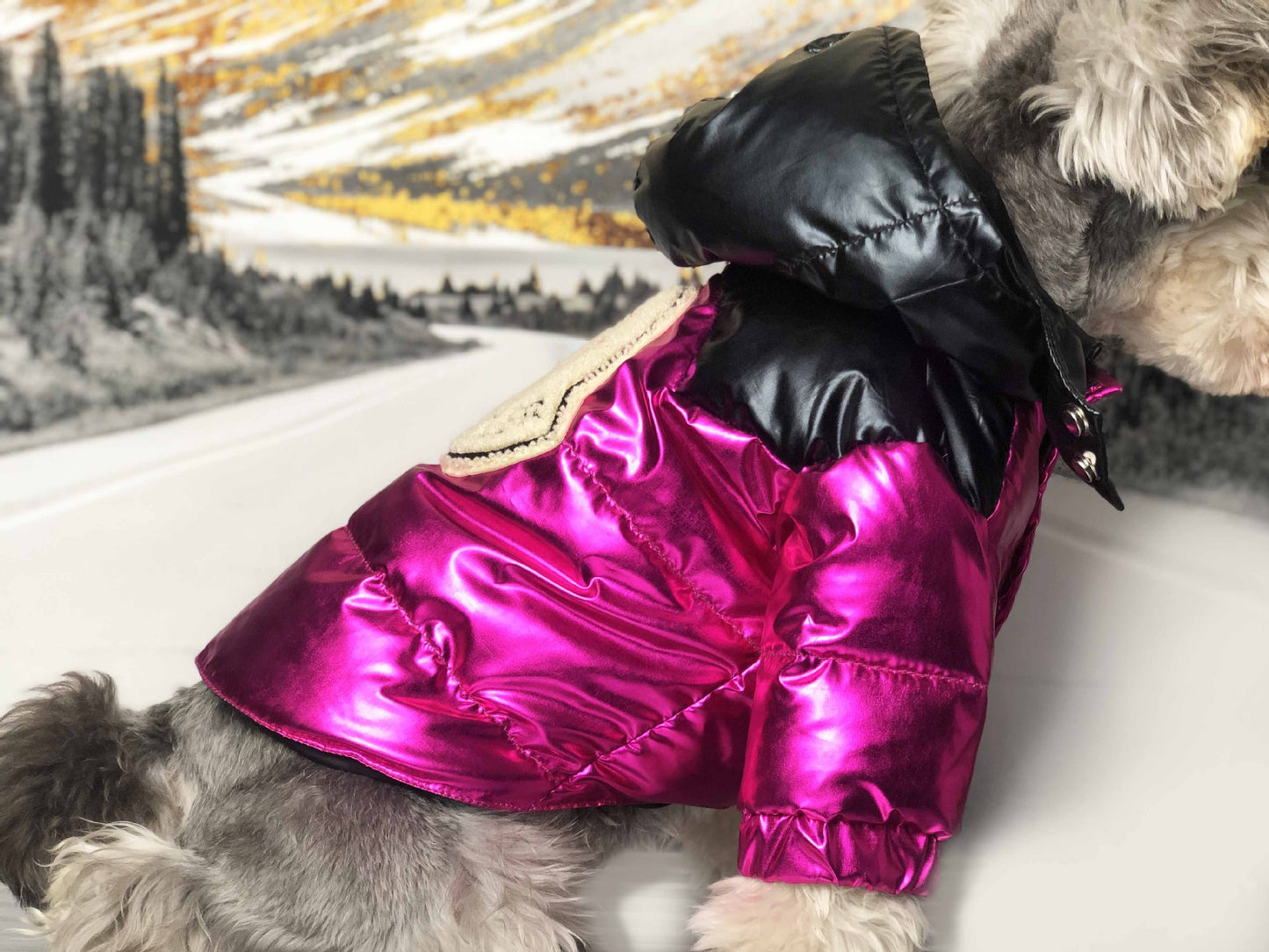 Waterproof Designer Winter Thick Dog Jacket