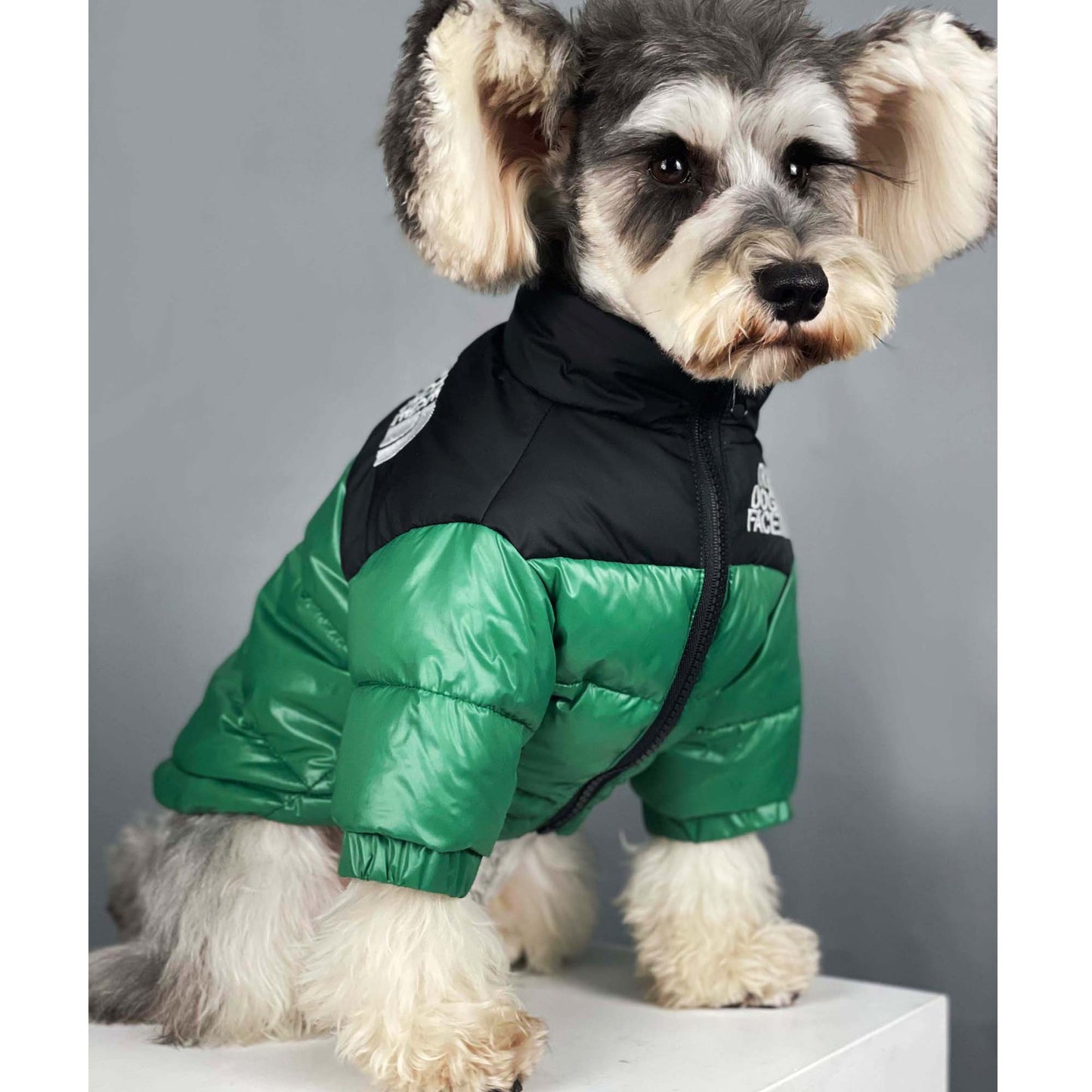 The Dog Face Down Jacket
