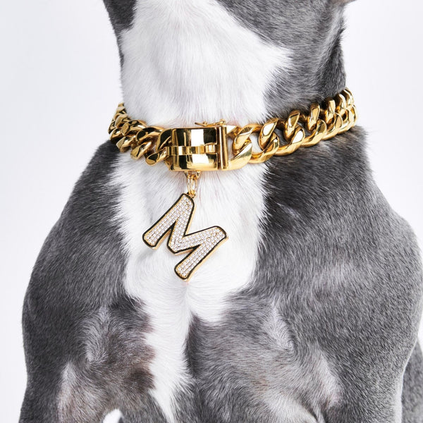 Cuban dog collar