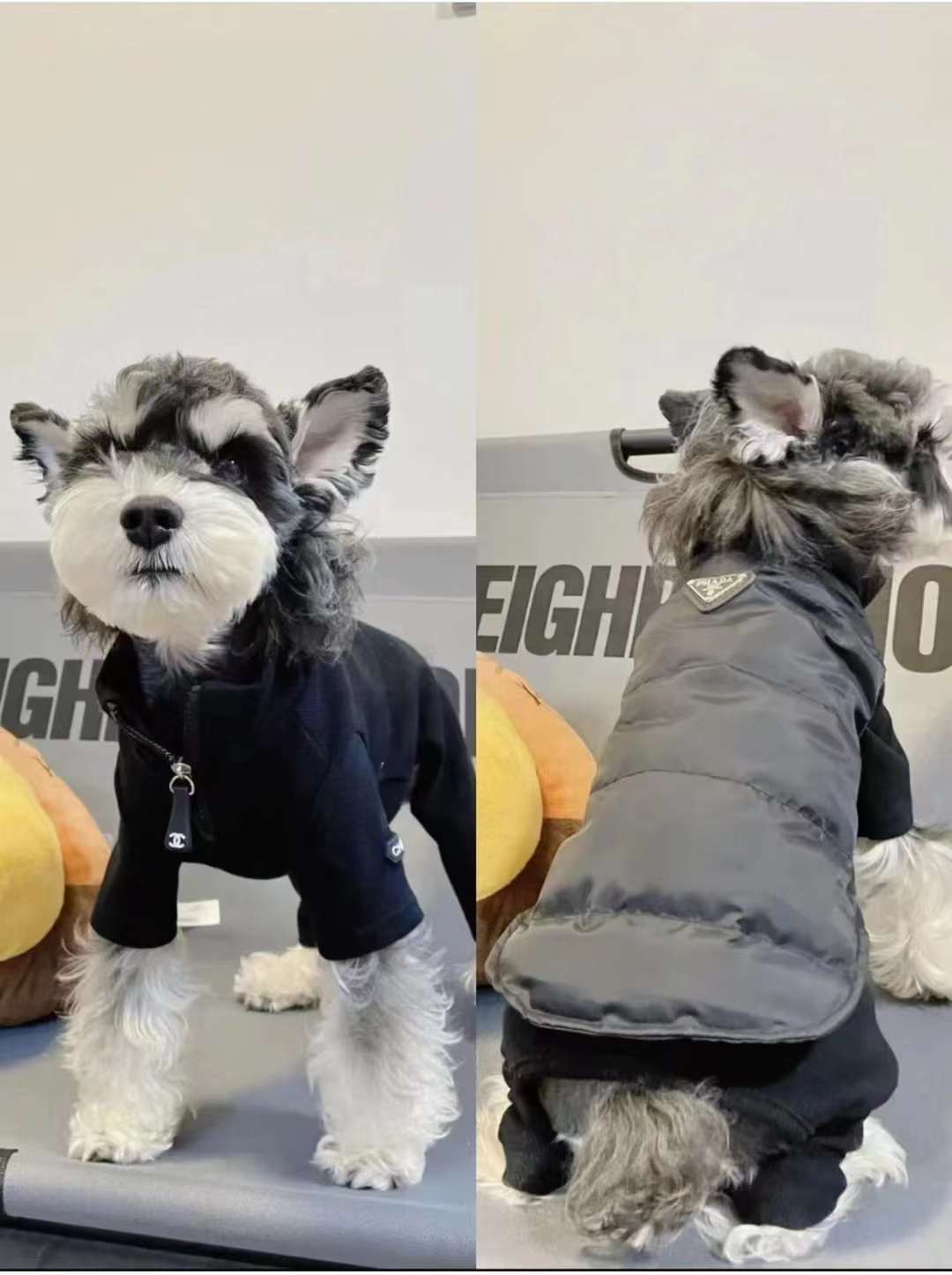 Pawda Winter Padded Coat