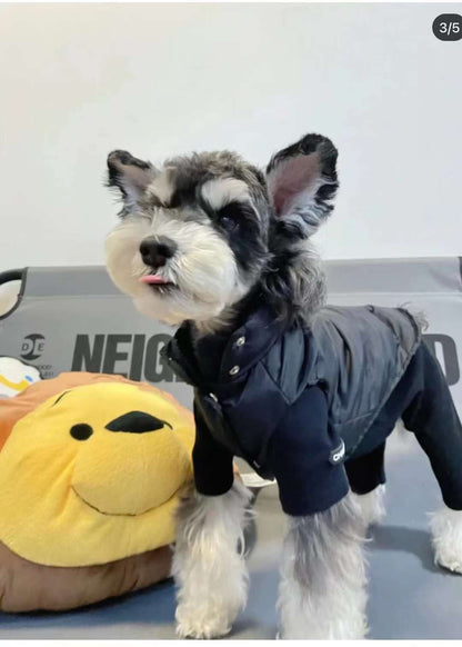 Pawda Winter Padded Coat