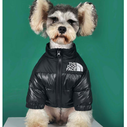 The Dog Face Down Jacket