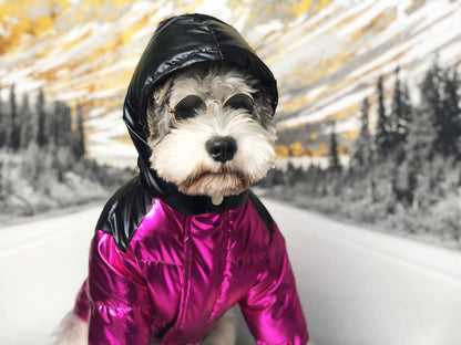 Waterproof Designer Winter Thick Dog Jacket