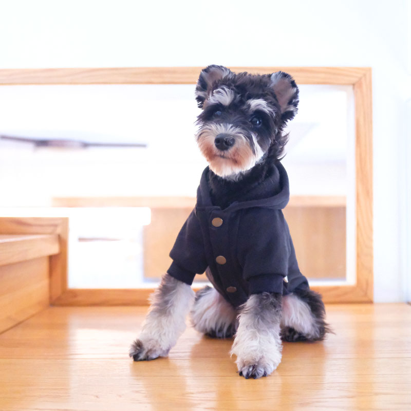Black hoodie Dog Clothes