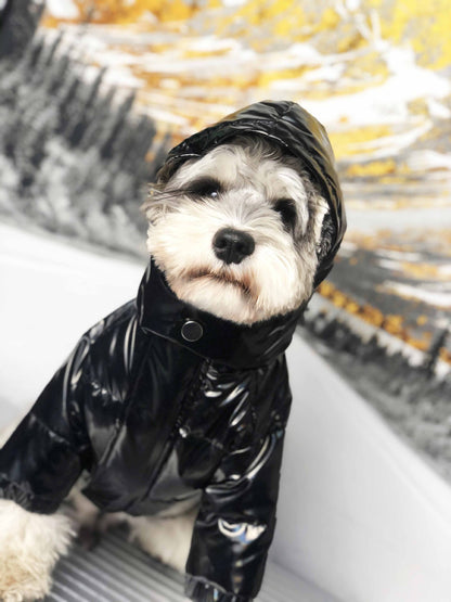 Waterproof Designer Winter Thick Dog Jacket