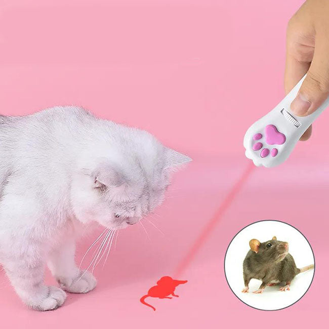 USB Charge Pet Laser Pen Toys