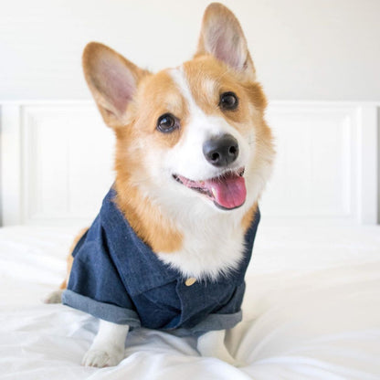 Hawaiian Dog Shirt