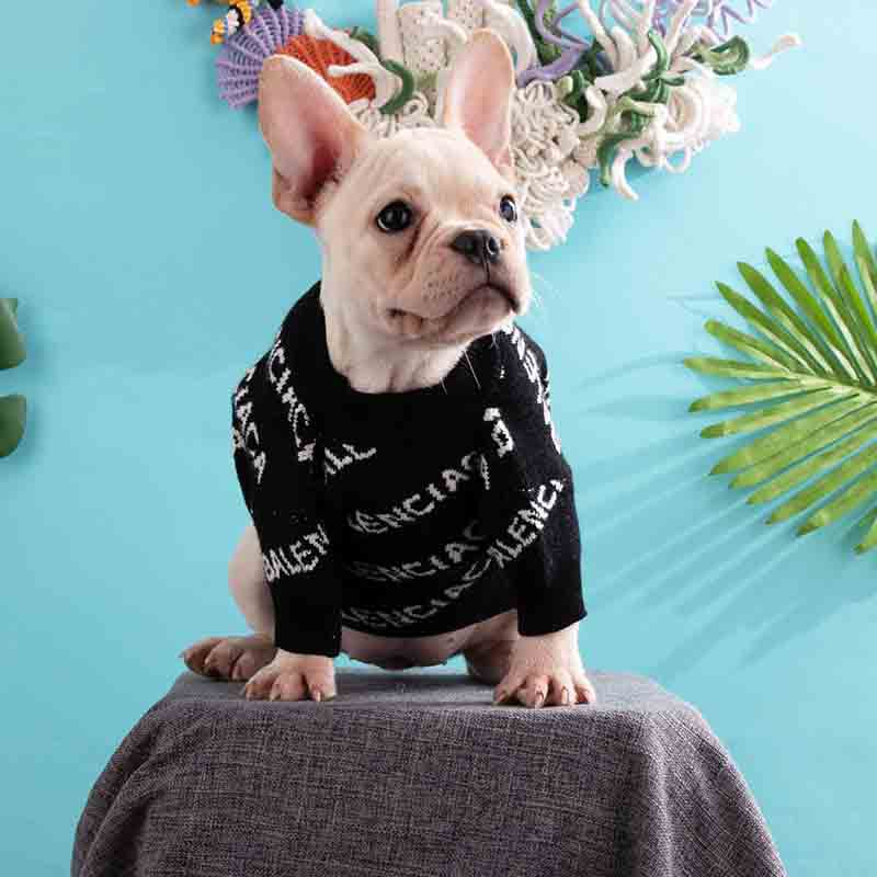 3 Colors Dog Designer Sweater, Dog Winter Clothes for Small Dogs Boy Girl