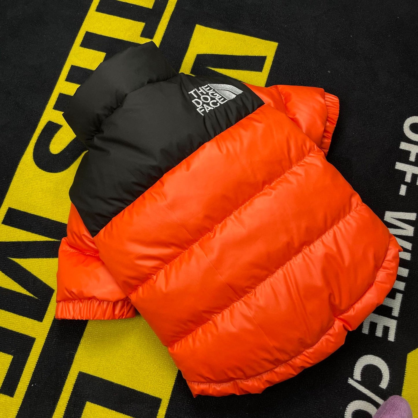 The Dog Face Down Jacket