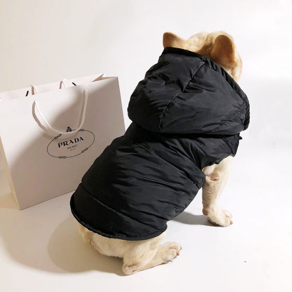 Pawda Winter Padded Coat
