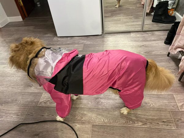 The Dog Face Pet Raincoat
