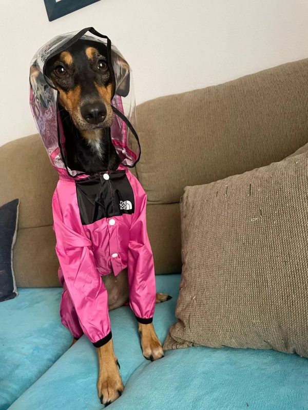 The Dog Face Pet Raincoat
