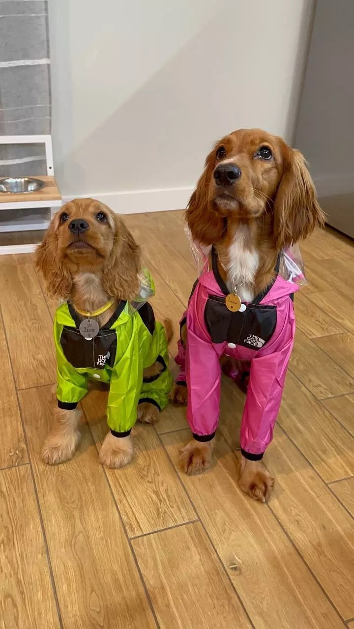 The Dog Face Pet Raincoat